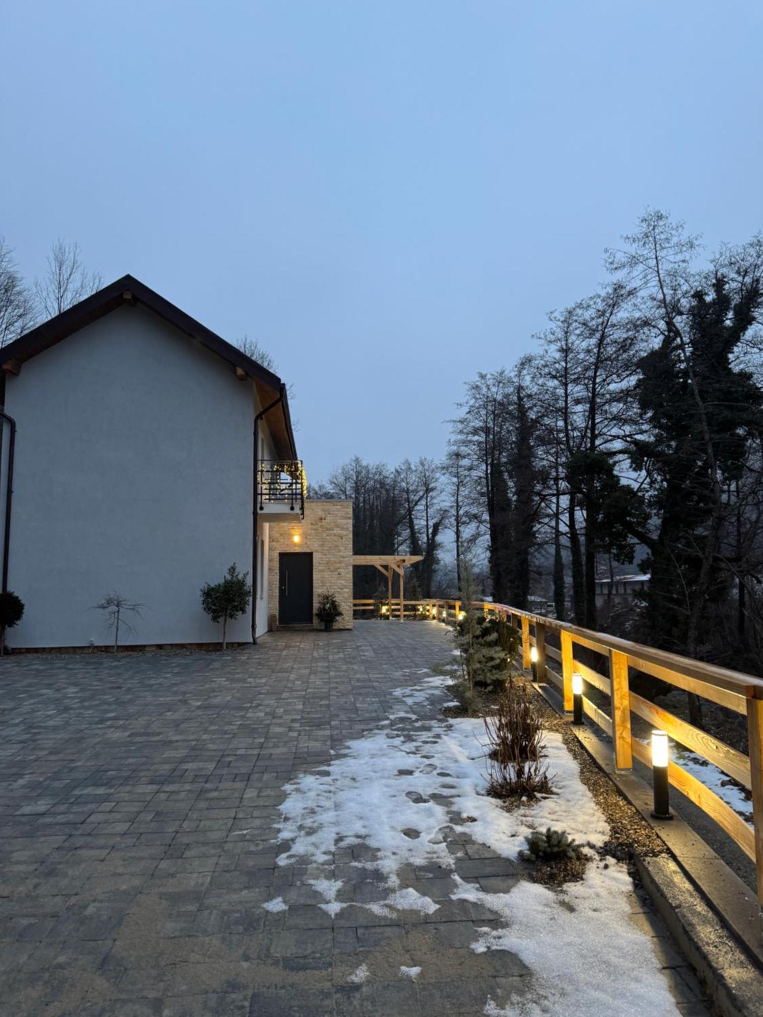 Twin Villa Văliug Exterior foto